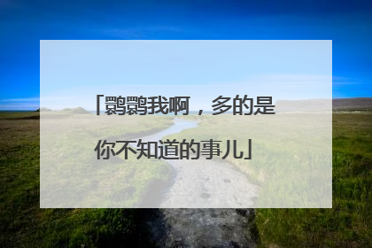 鹮鹮我啊，多的是你不知道的事儿