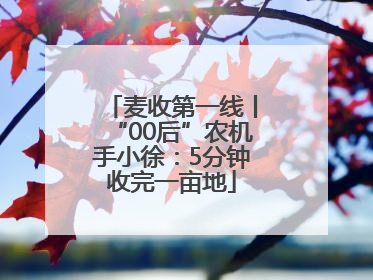 麦收第一线丨“00后”农机手小徐：5分钟收完一亩地