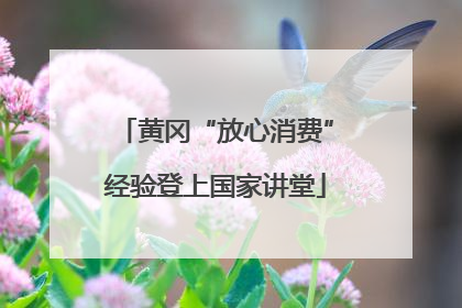 黄冈“放心消费”经验登上国家讲堂