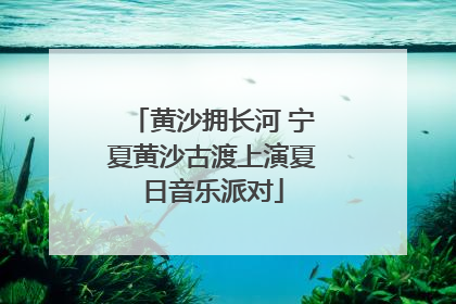 黄沙拥长河 宁夏黄沙古渡上演夏日音乐派对