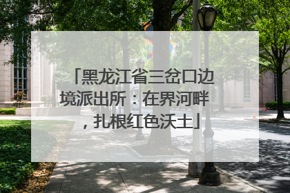 黑龙江省三岔口边境派出所：在界河畔，扎根红色沃土