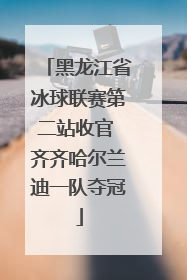 黑龙江省冰球联赛第二站收官 齐齐哈尔兰迪一队夺冠