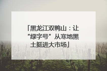黑龙江双鸭山：让“绿字号”从寒地黑土挺进大市场