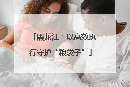 黑龙江：以高效执行守护“粮袋子”