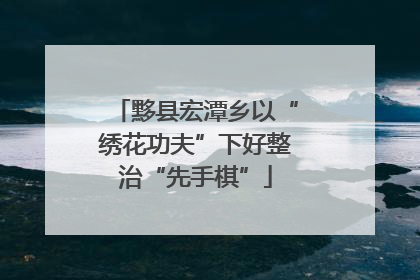 黟县宏潭乡以“绣花功夫”下好整治“先手棋”