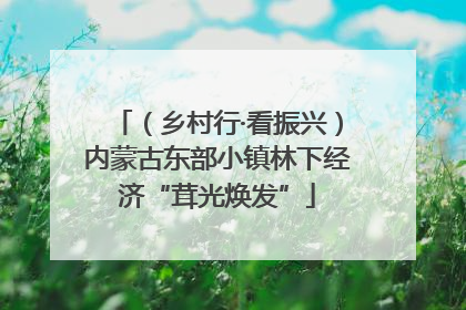 （乡村行·看振兴）内蒙古东部小镇林下经济“茸光焕发”