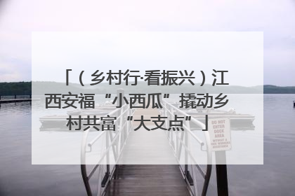 （乡村行·看振兴）江西安福“小西瓜”撬动乡村共富“大支点”