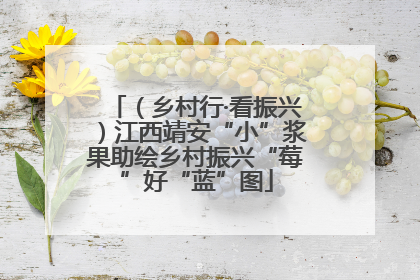 （乡村行·看振兴）江西靖安“小”浆果助绘乡村振兴“莓”好“蓝”图