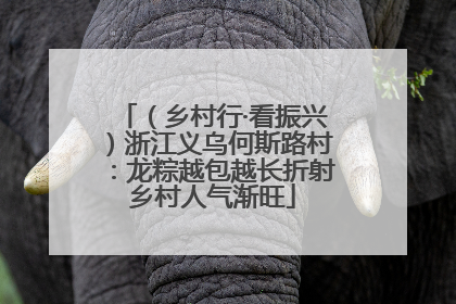 （乡村行·看振兴）浙江义乌何斯路村：龙粽越包越长折射乡村人气渐旺