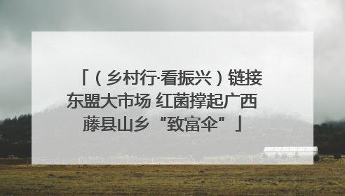 （乡村行·看振兴）链接东盟大市场 红菌撑起广西藤县山乡“致富伞”