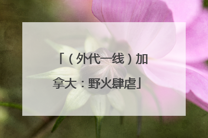 （外代一线）加拿大：野火肆虐