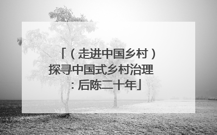 （走进中国乡村）探寻中国式乡村治理：后陈二十年