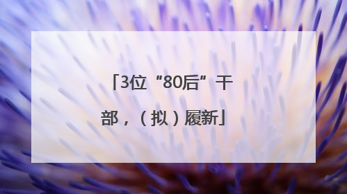 3位“80后”干部，（拟）履新