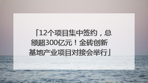 12个项目集中签约，总额超300亿元！金砖创新基地产业项目对接会举行