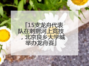 15支龙舟代表队在刺猬河上竞技，北京良乡大学城举办龙舟赛