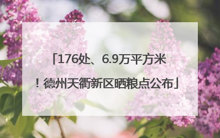 176处、6.9万平方米！德州天衢新区晒粮点公布