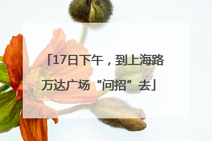 17日下午，到上海路万达广场“问招”去