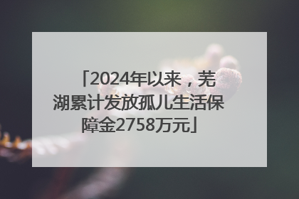 2024年以来，芜湖累计发放孤儿生活保障金2758万元