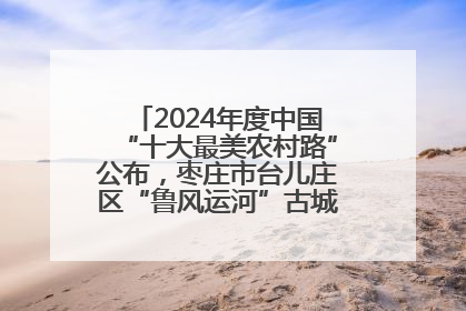 2024年度中国“十大最美农村路”公布，枣庄市台儿庄区“鲁风运河”古城文化廊道上榜！