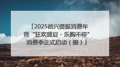 2025德兴提振消费年暨“狂欢盛夏・乐购不停”消费季正式启动（图）