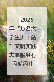2025年“万名大学生进千站”文明实践志愿服务行动启动