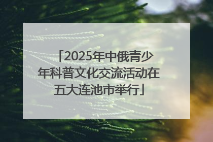 2025年中俄青少年科普文化交流活动在五大连池市举行