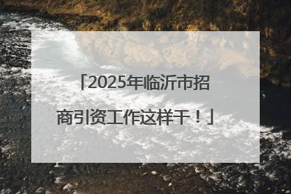 2025年临沂市招商引资工作这样干！