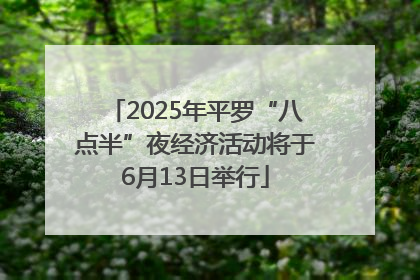 2025年平罗“八点半”夜经济活动将于6月13日举行