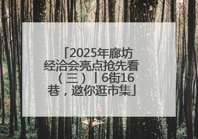 2025年廊坊经洽会亮点抢先看（三）丨6街16巷，邀你逛市集