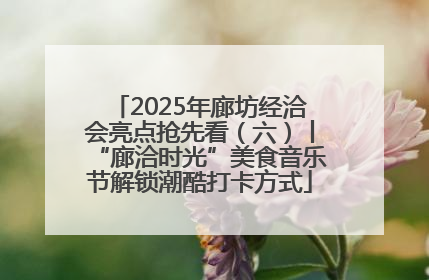 2025年廊坊经洽会亮点抢先看（六）丨“廊洽时光”美食音乐节解锁潮酷打卡方式