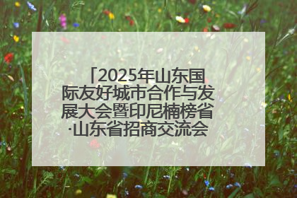 2025年山东国际友好城市合作与发展大会暨印尼楠榜省·山东省招商交流会在济南槐荫举行