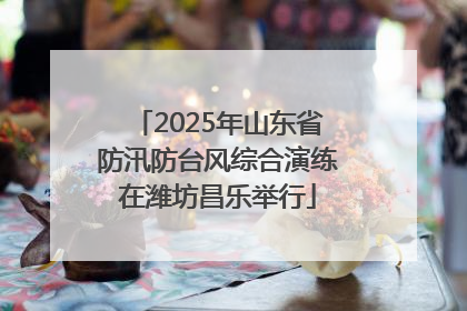 2025年山东省防汛防台风综合演练在潍坊昌乐举行