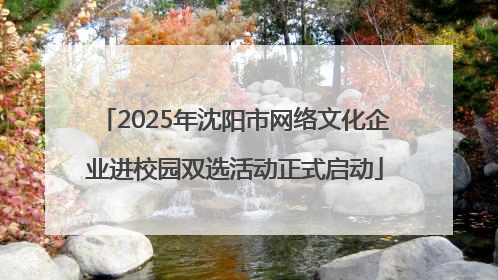 2025年沈阳市网络文化企业进校园双选活动正式启动