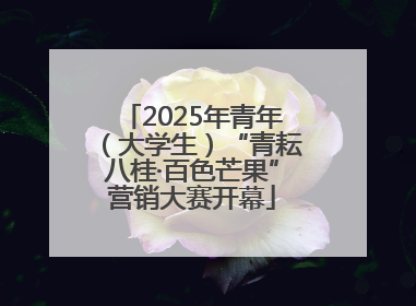 2025年青年（大学生）“青耘八桂·百色芒果”营销大赛开幕