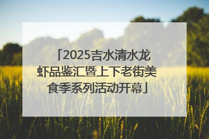 2025吉水清水龙虾品鉴汇暨上下老街美食季系列活动开幕