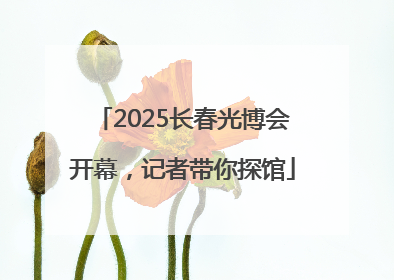 2025长春光博会开幕，记者带你探馆