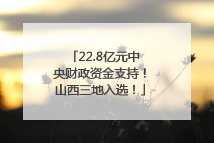 22.8亿元中央财政资金支持！山西三地入选！
