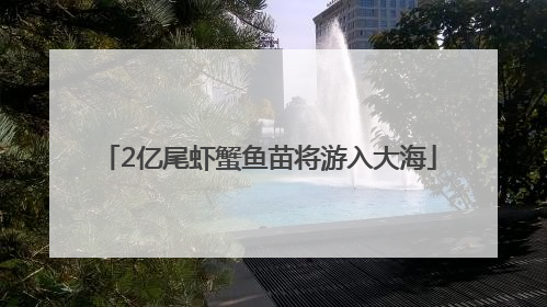 2亿尾虾蟹鱼苗将游入大海