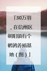 30万羽，在信州区朝阳镇有个鹌鹑养殖基地（图）