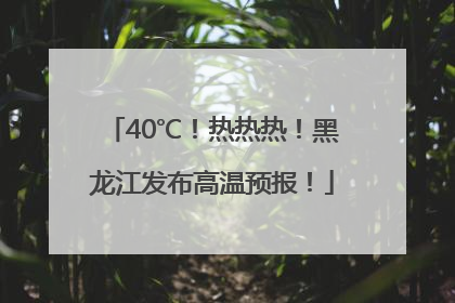 40℃！热热热！黑龙江发布高温预报！