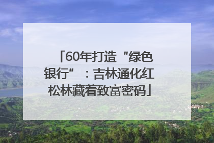 60年打造“绿色银行”：吉林通化红松林藏着致富密码
