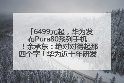 6499元起，华为发布Pura80系列手机！余承东：绝对对得起那四个字！华为近十年研发投入12490亿元
