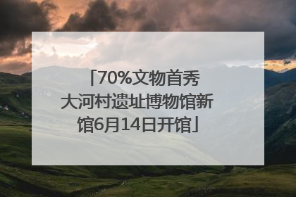 70%文物首秀 大河村遗址博物馆新馆6月14日开馆