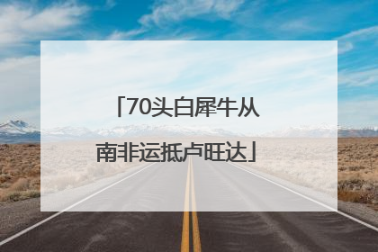 70头白犀牛从南非运抵卢旺达