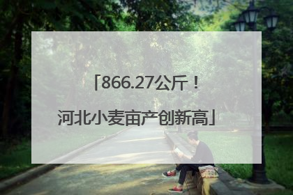 866.27公斤！河北小麦亩产创新高