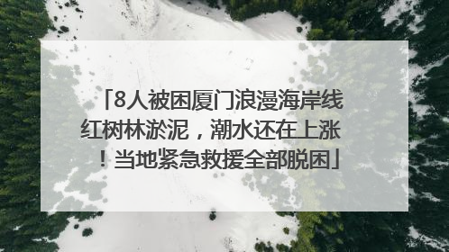 8人被困厦门浪漫海岸线红树林淤泥，潮水还在上涨！当地紧急救援全部脱困