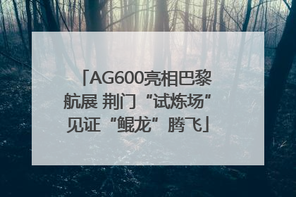 AG600亮相巴黎航展 荆门“试炼场”见证“鲲龙”腾飞