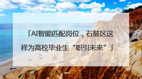 AI智能匹配岗位，石鼓区这样为高校毕业生“职引未来”