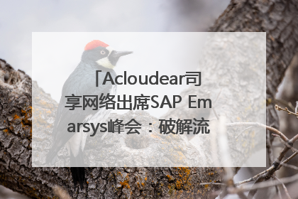 Acloudear司享网络出席SAP Emarsys峰会：破解流量困局，驱动精准增长
