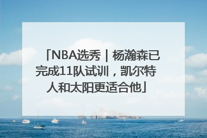 NBA选秀｜杨瀚森已完成11队试训，凯尔特人和太阳更适合他